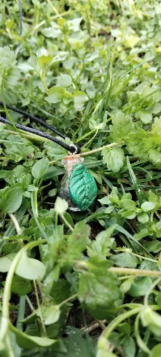 🔮 Botellita de Protección de Bruja – La Sabiduría Protectora de la Hoja 🍃Collar