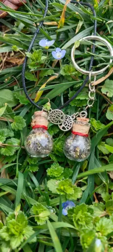 ✨ Sella tus Lazos con la Magia de la Botellita "Amor Eterno" Pack-2 unidades✨